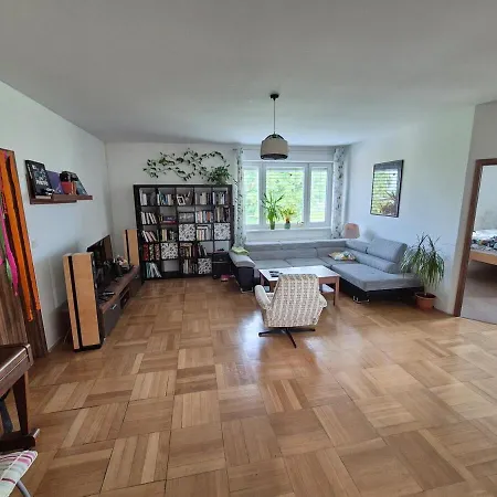 Panorama View *
